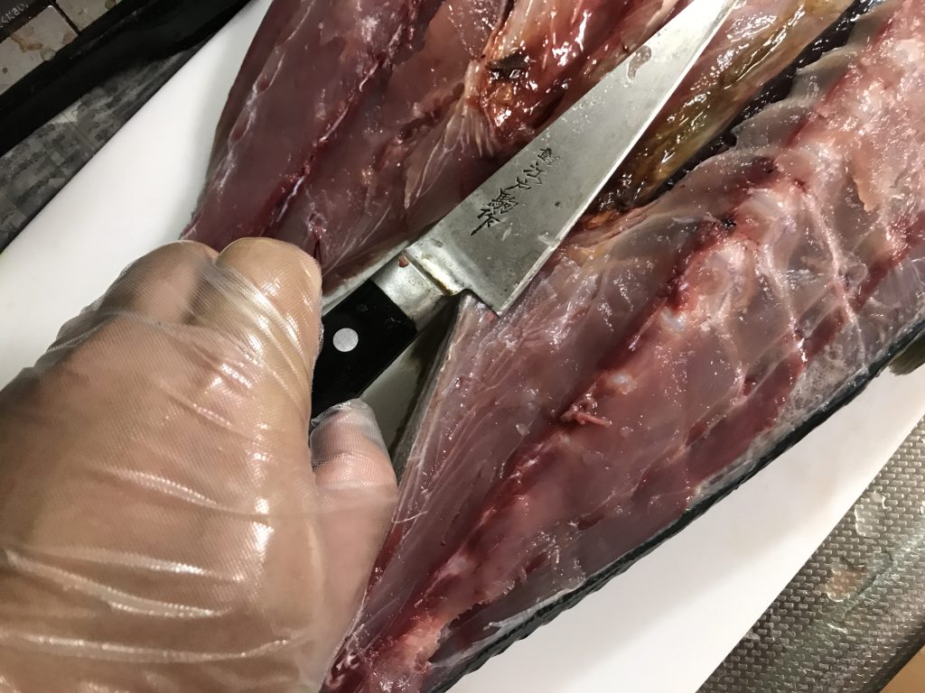 釣った魚を料理する時、手を切っていたらこれが便利