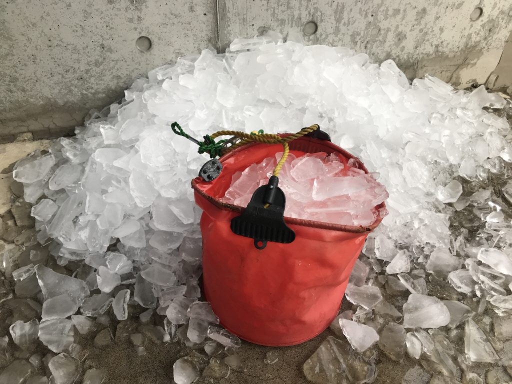 ブリ釣り用の氷確保問題ー最終回答見つける　氷やの橘さん　24時間氷自販機