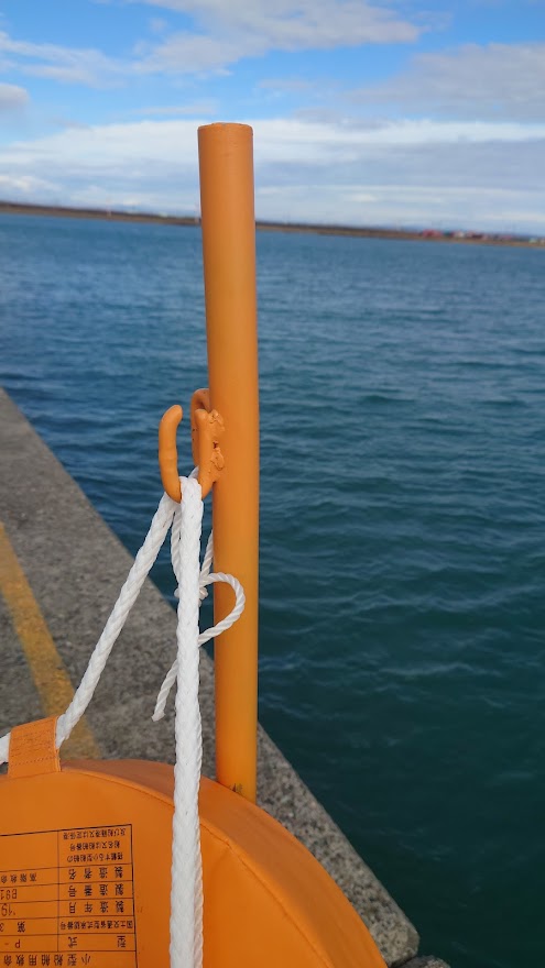 苫小牧東港一本防波堤の試験解放レポート