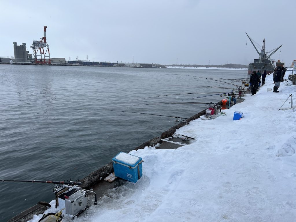 昨日の石狩湾新港 樽川埠頭にニシン釣りを見に行く。