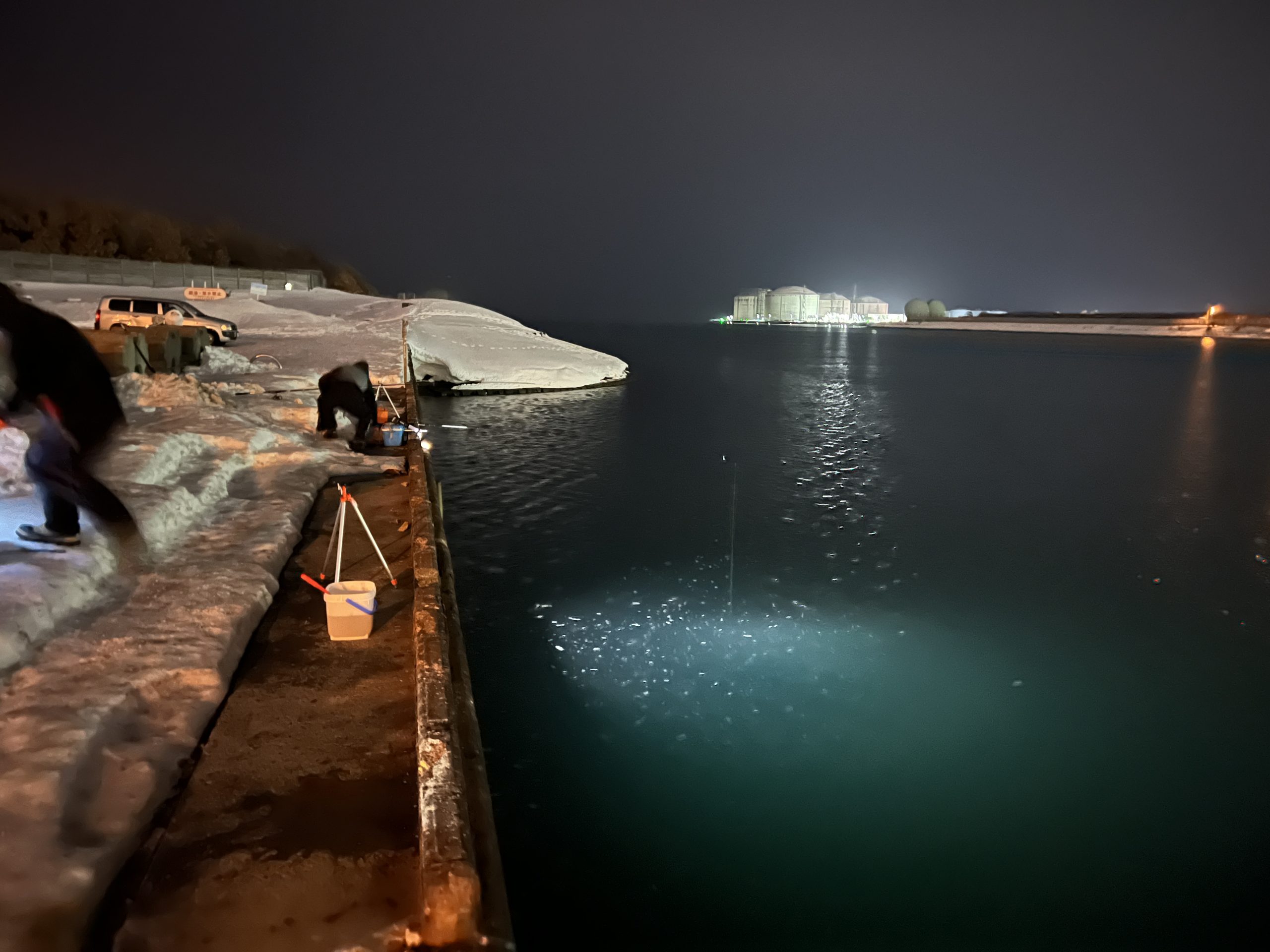 平日深夜の石狩湾新港樽川埠頭のニシン釣り